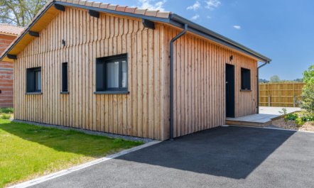 La Belle Testerine 1