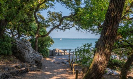 Odalys Collection Le Domaine des Pins 4