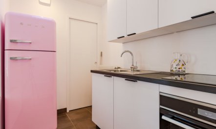 Guillaume le Conquérant 2