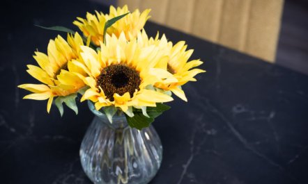 Harbour Nights Deluxe 7F 3