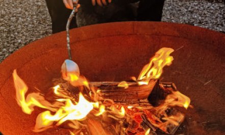 G-Wilderness Cabin 4