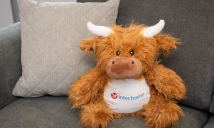 Harbour Nights Deluxe 7D 6