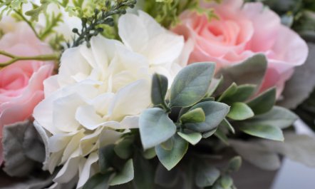 Harbour Nights Deluxe 7C 8