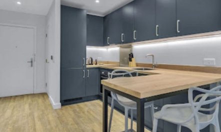 Wembley Park Views 5