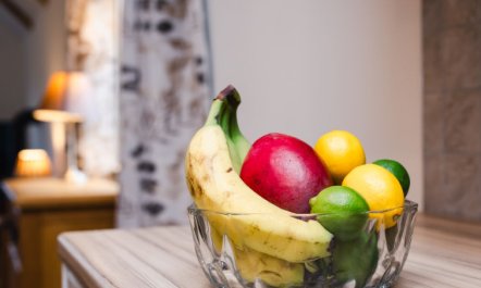 Mountain View Lodge 5