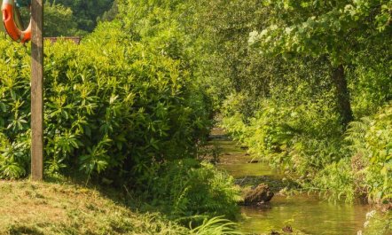 Rosecraddoc Lodges 9