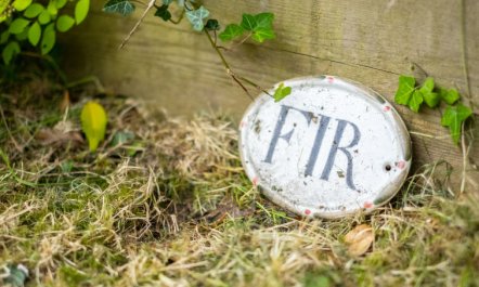 Fir Cottage Cottage 4 6