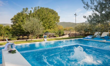 Villa Dalmatica moderna 1