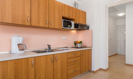 Mihaela 3 Apartment 3 7