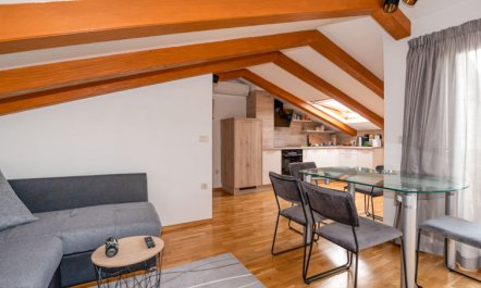 Mihaela Apartment 2 3