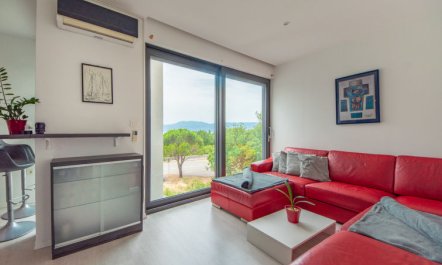 Oliva 2 Apartment 2 1