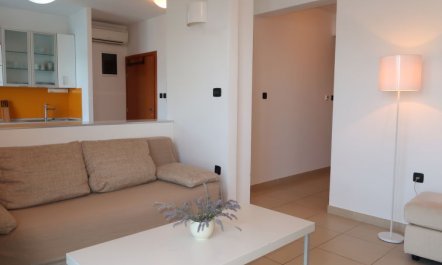 Milevoj Apartment 6 4