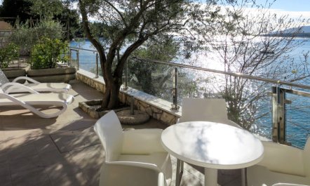 Milevoj Apartment 3 1