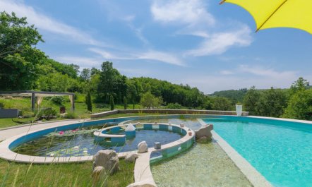 Studio Gallery Bura 4