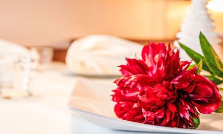 Chesa Vadret Surlej 7