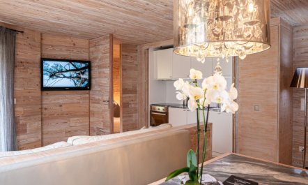 Chesa Sur Val 21 Apartment 9 5