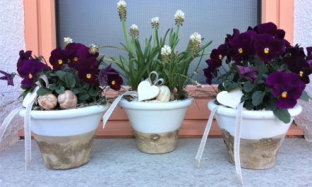 Ferienwohnungen Senda 495D 6