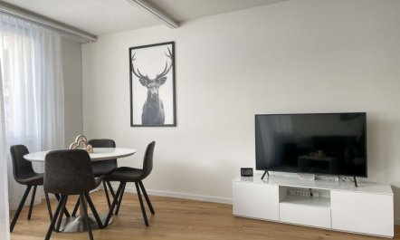 Parkareal (Utoring) Apartment 12 6