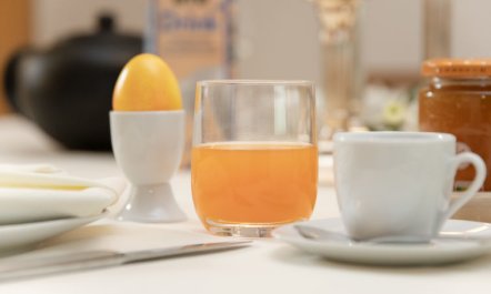 Residenz Cresta Kulm B26 7