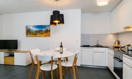 Residenza Chesa Margun 33-2 Apartment 93 2