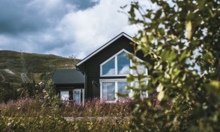 Trillevallen Fjällripan