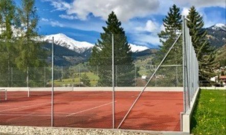 Disentiserhof Hönig 2