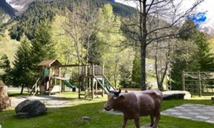 Disentiserhof Hönig 3