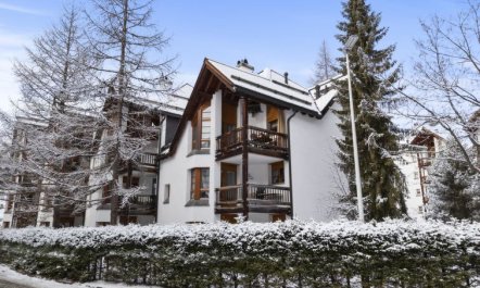 Schweizerhof 501 Mü 1