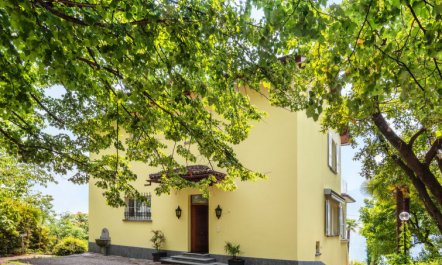 Villa Vernice Gialla 5