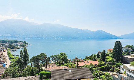 Junior Suite Classic Apartment 19 4