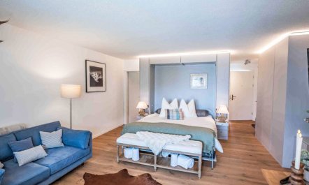 Chesa Ova Cotschna 802 Apartment 9