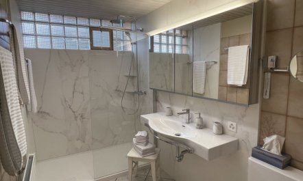 Seestern direkt am See 4