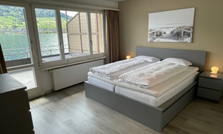 Seestern direkt am See 3