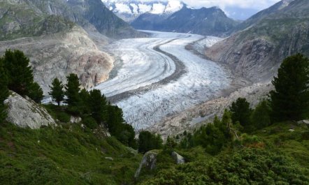 Südlenz 33 3. OG Süd-West 5