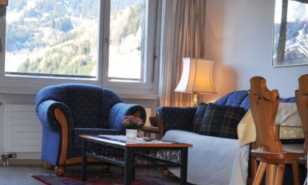 Disentiserhof Hönig 6