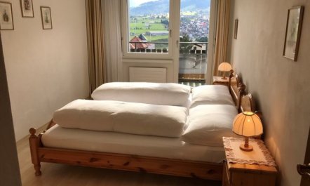 Disentiserhof Hönig 7