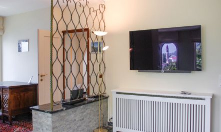 Panorama Lakeview Lago Maggiore 6