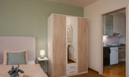 Double Room Classic Apartment 8 4