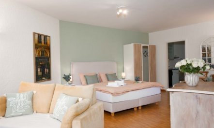 Double Room Classic Apartment 8 6