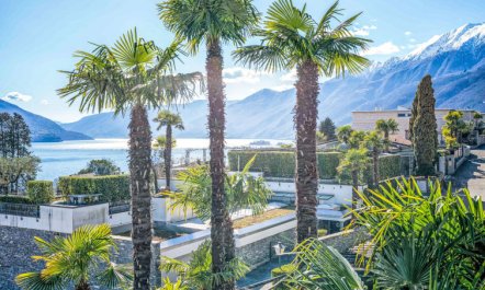 Junior Suite Classic Apartment 21