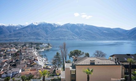 Suite Classic Apartment 15 4