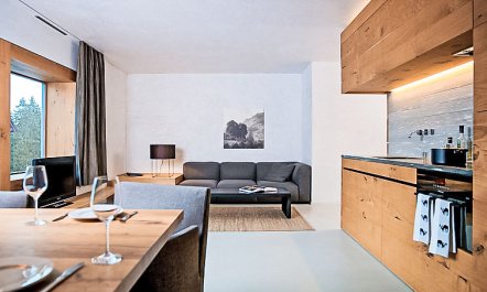 Superior Alpine Apartment 4 7