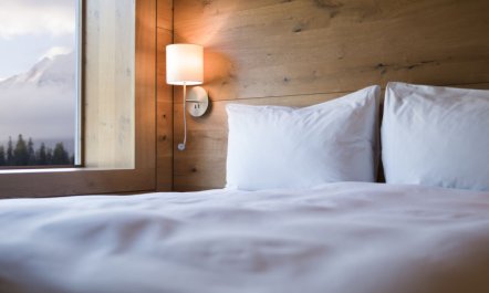 Superior Alpine Apartment 4 3