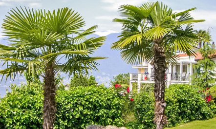 Residenza Miralago Apt. C29 Apartment 6 6