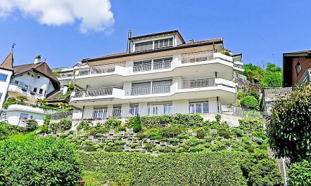 Hegglistrasse 9 Apartment 2