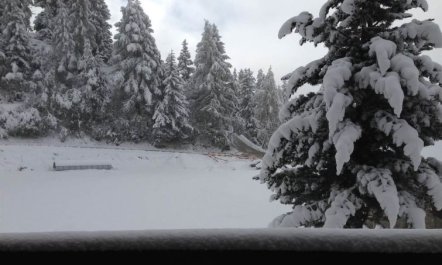 Abendrot 1. OG Süd-West 4