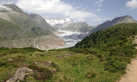 Abendrot 1. OG Süd-West 5