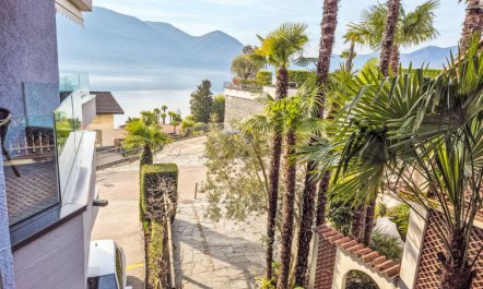 Junior Suite Modern Apartment 24 4