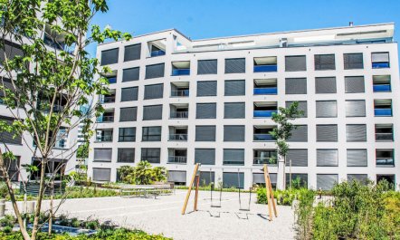 LaVille A-3-3 Apartment 4 6