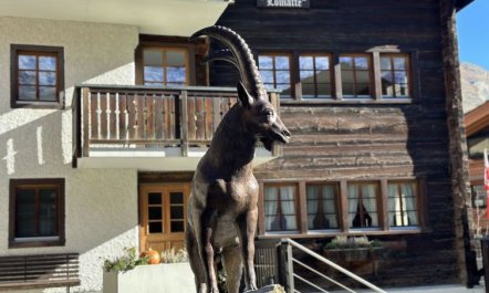 Ferienhaus Lomatte 1758 4